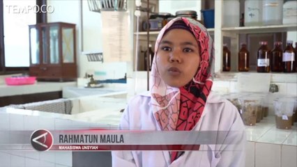 Mahasiswi Aceh Buat Tepung Anti Diabetes dari Buah Tanjung