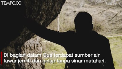 Tim Arkeolog Menemukan Udang Selingkuh di Gua Papua