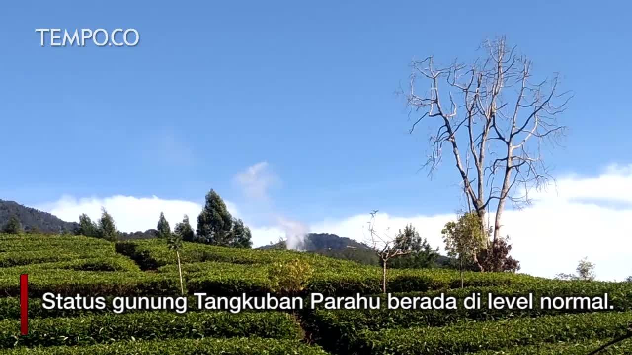 PVMBG: Wisata Tangkuban Parahu Ditutup Selama Tiga Hari