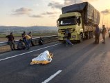 Kuzey Marmara Otoyolu'nda ölümlü kaza