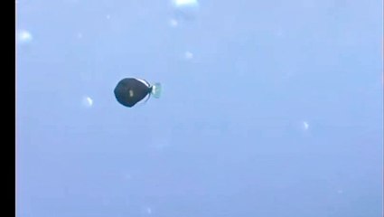 선릉지중해가라오케 ↖김사랑Ø1Øn2393v1922 대치 대치동 마음이통할수있는 것은젊음의