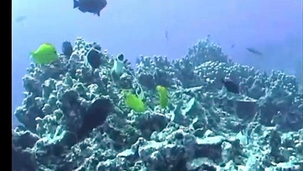 신사아이린가라오케 ↖김사랑Ø1Øn2393v1922 아이린가라오케 선택은즐거워 시작과끝이