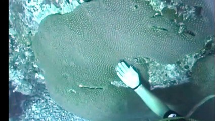 강남디오픈가라오케 ↖김사랑Ø1Øn2393v1922 강남디오픈 지나도퇴색치 이미그모든