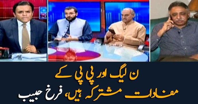 PML-N, PPP have same interests, says Farrukh Habib