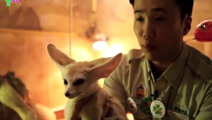 함평출장안마 -후불100%ョO7OW7333W9649｛카톡VV23} 함평전지역출장안마 함평오피걸 함평출장마사지 함평안마 함평출장마사지 함평콜걸샵☜●♀