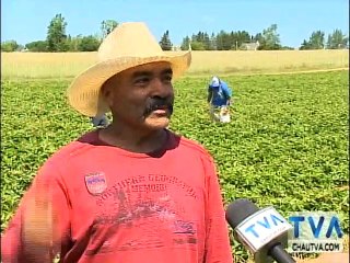 TVA Nouvelles 18h CHAU 26 juillet 2019