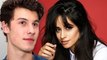 Shawn Mendes Rejects Camila Cabello 'Senorita' Question & Fans Are Upset
