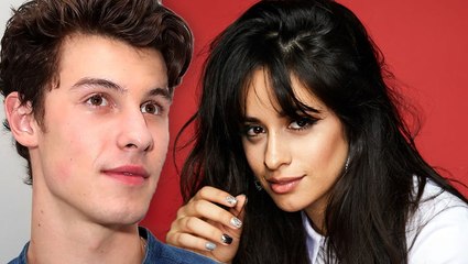 下载视频: Shawn Mendes Rejects Camila Cabello 'Senorita' Question & Fans Are Upset