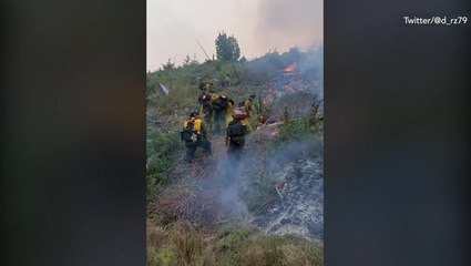 Fire fighters suppressing the Milepost 97 Fire