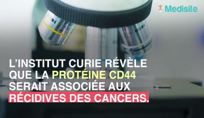 Une protéine dans nos organes, accusée de favoriser la récidive de cancers