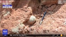 [이슈톡] 10살 소년이 공룡알 화석 발견