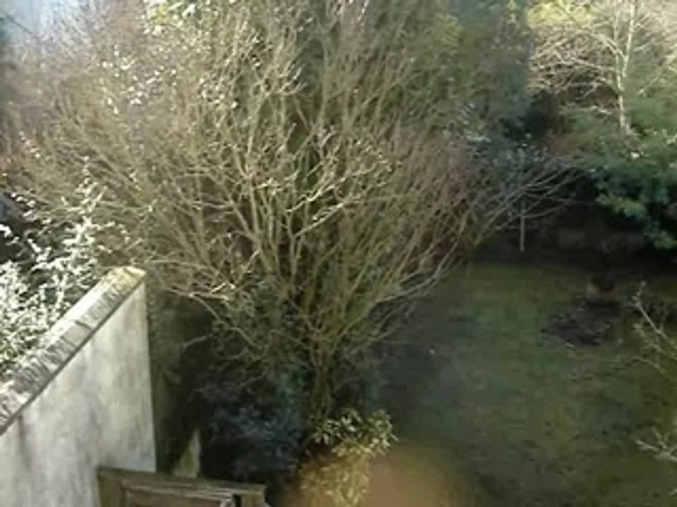 Rod flying