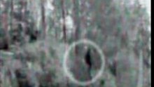 06_sibir
