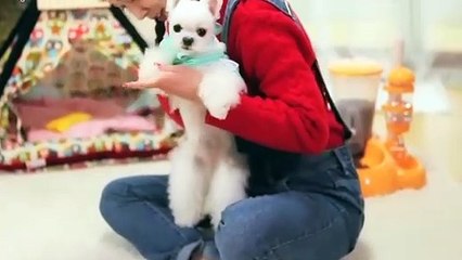 완산구출장타이Ø1ØA8109A5900｛카톡GD825｝ぱ완산구출장안@마ぱ완산구출장샵ぱ완산구출장맛사지 ぱ완산구출장걸썰 완산구출장걸가격 완산구출장러시아 완산구외국인후불출장업소 완산구24시출장마사지샵'예약イゥウ