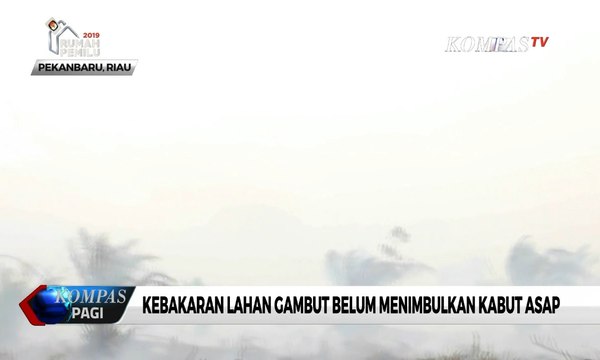 Kebakaran Lahan Gambut di Riau Telah Mencapai 100 Hektar