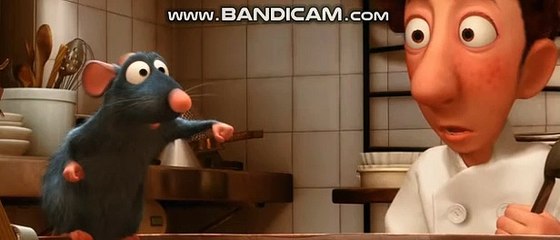 #토토솔루션분양 #토토사이트만들기 #스포츠토토제작