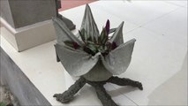 DIY - How to make Beautiful and Unique Flower Pots - CEMENT CRAFT IDEAS - Gifts for Your Garden