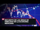 Adrián de la Garza habla de perspectivas de crecimiento para México