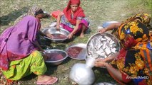 Most Tasty & Expensive Fish Fest For Full Village People - Hilsa Elish Fish Curry Cooking