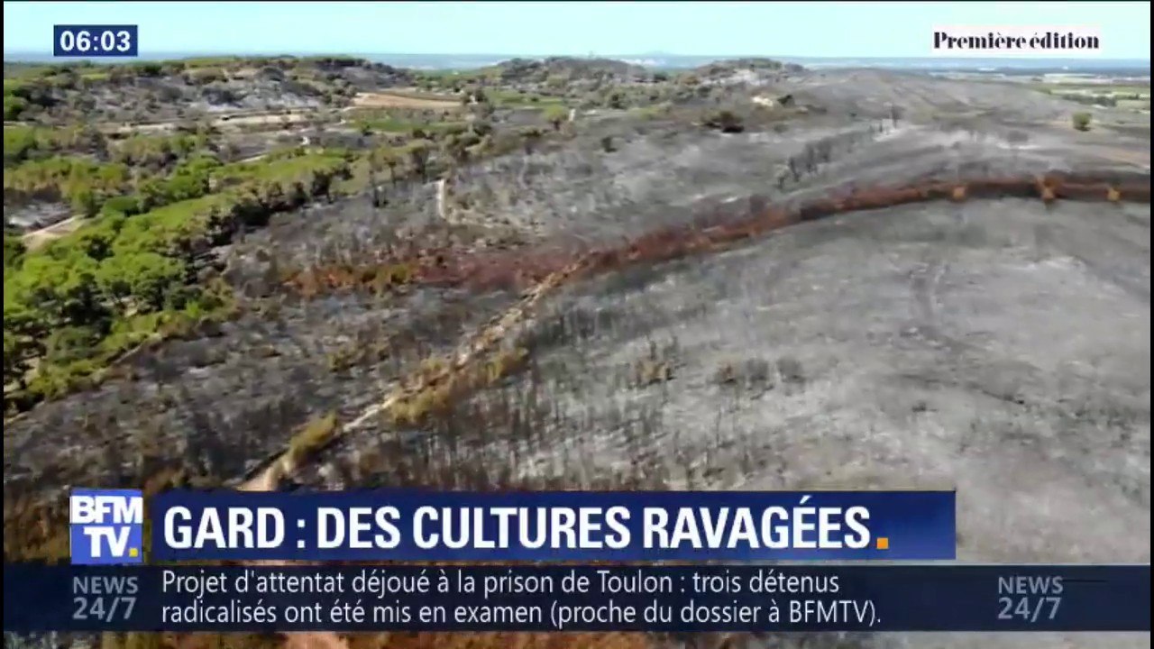 Ces images aériennes montrent l'ampleur des hectares réduits en cendre dans le Gard