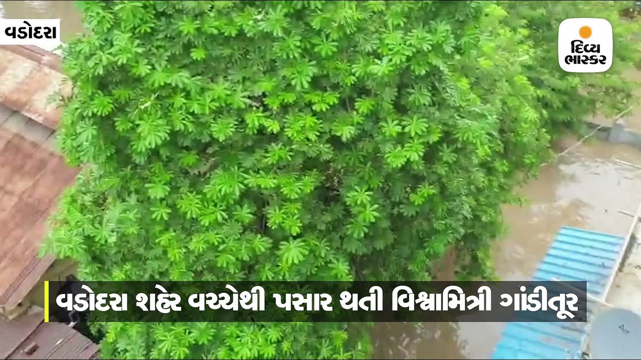 વડોદરા શહેર વચ્ચેથી પસાર થતી વિશ્વામિત્રી ગાંડીતૂર, ભયજનક સપાટી વટાવી