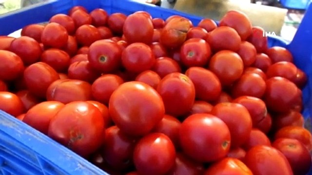 Salça yapmak hiç bu kadar kolay olmamıştı