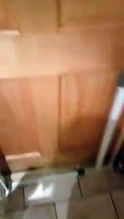 Déguisé en Deadpool il s'occupe de son fils... spiderman !