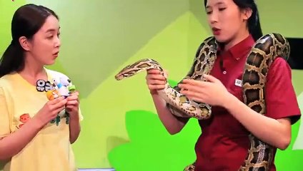 수원출장안마 -후불100%ョ OiOE2659E1768｛카톡KP93｝ 수원전지역출장안마 수원오피걸 수원출장마사지 수원안마 수원출장마사지 수원콜걸샵ぷへべ