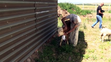 Huzuru Köyde Bulanlar - 'Hayatın tadını köyümüze geldiğimizde aldık' - ÇANKIRI