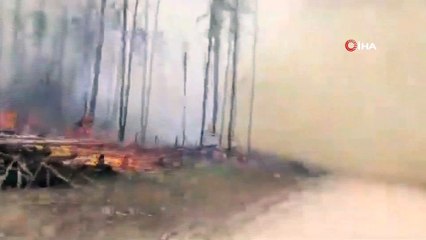 - Sibirya’da 3 Milyon Hektar Orman Kül Oldu