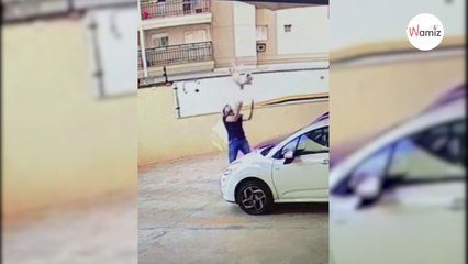 Un chien tombe du 9e étage, ce que filme la caméra laisse sans voix
