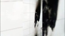 Vândalos queimam objetos em banheiro do Terminal Oeste