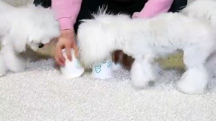 서구출장타이O7OS7575S0069｛카톡RD654｝ぱ서구출장안@마ぱ서구출장샵ぱ서구출장맛사지 ぱ서구출장걸썰 서구출장걸가격 서구출장러시아 서구외국인후불출장업소 서구24시출장마사지샵'예약◑