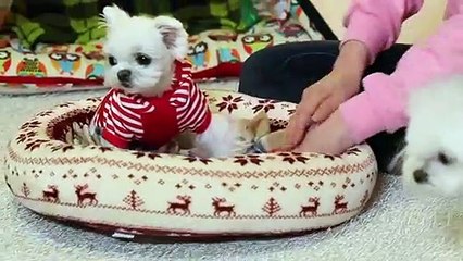 운서출장안마 -후불100%ョO7OW7301W9649｛카톡LA666｝ 운서전지역출장안마 운서오피걸 운서출장마사지 운서안마 운서출장마사지 운서콜걸샵§∥∏