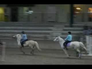 Concours 13 Janvier 2oo8