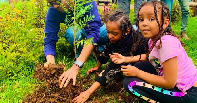 L'Éthiopie a battu le record de reforestation avec plus de 350 millions d'arbres plantés en seulement 12 heures