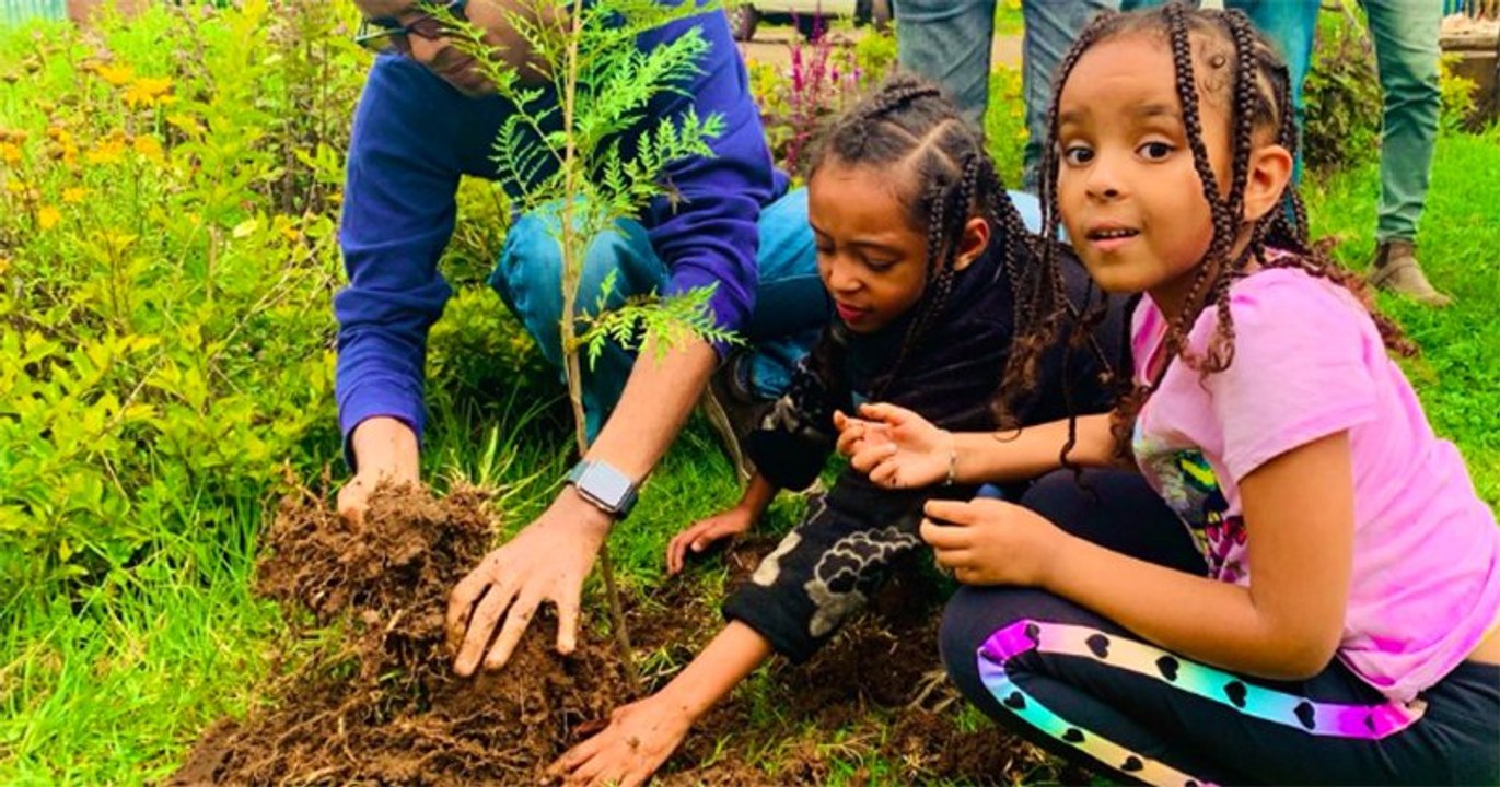 L'Éthiopie a battu le record de reforestation avec plus de 350 millions d'arbres plantés en seulement 12 heures