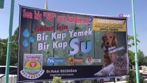 Tarsus'ta sokak hayvanlarına özel suluk ve mama kapları