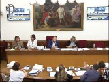 Roma - Prevenzione e contrasto del bullismo, audizione di esperti (30.07.19)