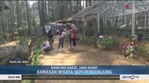 Erupsi Tangkuban Parahu, Kawasan Wisata Sepi Pengunjung