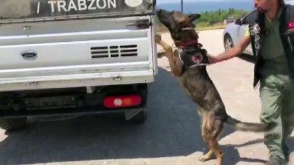 Van'da 17 kilo 402 gram eroin ele geçirildi