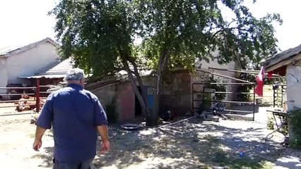 Yılanı vurmaya çalışırken hamile eşini öldürdüğü iddiası - KONYA