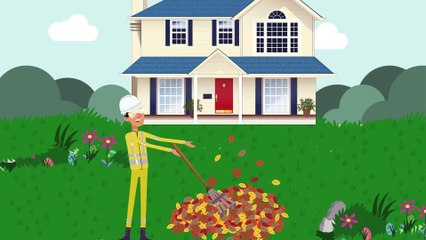 Garden Waste Removal in Dublin & Belfast - Call 0818 919 362