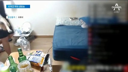 ‘반려견 학대’ 출동하고도 철수…구청이 뒤늦게 ‘격리’