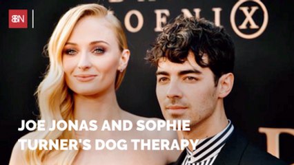 Joe Jonas And Sophie Turner Cope With Loss Of Their Dog