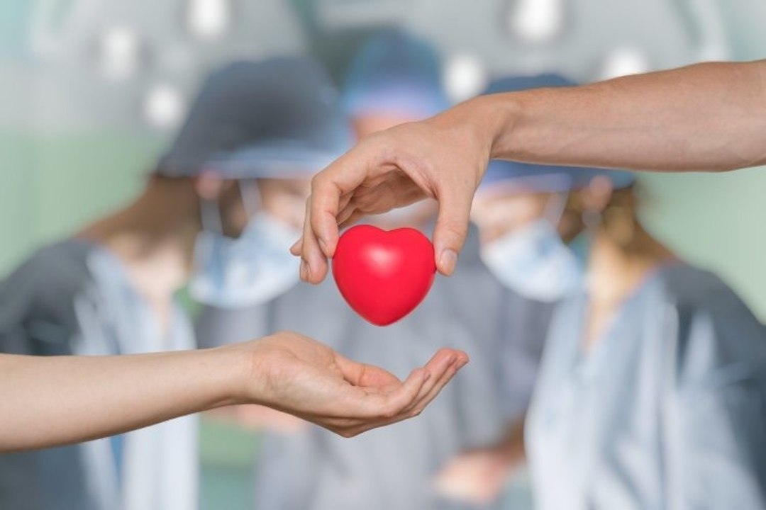 Things you need to know about Organ Donation