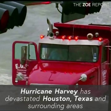 4 Ways To Donate To The Victims Of Hurricane Harvey