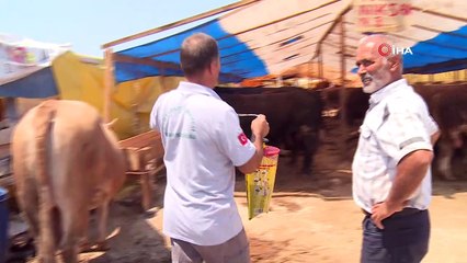 Kurban satış yerlerinde ilâçlama seferberliği