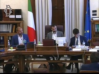 Roma - Commissione Lavoro, audizione di Goggi, ad di Jobby Srl. (30.07.19)