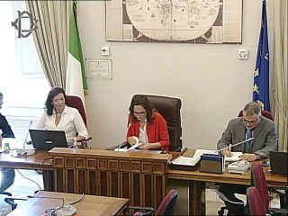 Roma - Audizione di Save de Planet (30.07.19)